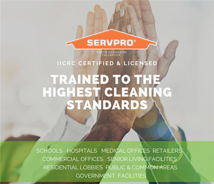 cleaning experts